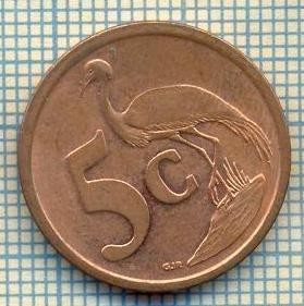 8201 MONEDA- AFRICA DE SUD - 5 CENTS -anul 2008 -starea ce se vede foto