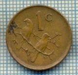 8152 MONEDA- AFRICA DE SUD - 1 CENT -anul 1983 -starea ce se vede