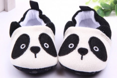 Botosei bebelusi - Baby Panda foto