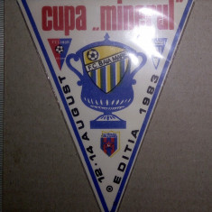 FANION FOTBAL - CUPA MINERUL 12-14 AUGUST 1983