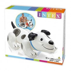 Catel Gonflabil Intex Inflatable Puppy Ride On Beach Toy Lilo Swim Pool Float foto