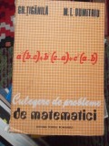 CULEGERE DE PROBLEME DE MATEMATICI