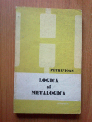 d2 Logica Si Metalogica - Petru Ioan foto