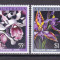 Australia 1986 flori MI 997-1000 MNH w40