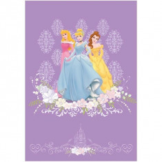 Covor copii Princess model 102 160 x 230 cm Disney foto