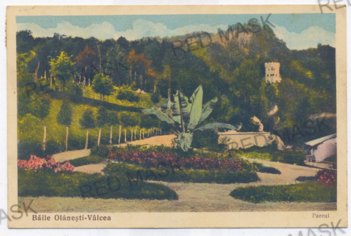 3126 - OLANESTI, Valcea, Park - old postcard - used - 1938