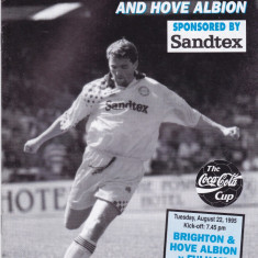 Program meci fotbal BRIGHTON&HOVE ALBION - FULHAM 22.08.1995 (Anglia)
