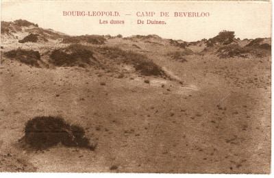 WW1 CAMP DE BEVERLO BELGIA DUNELE DE PE CAMPUL DE INSTRUCTIE foto