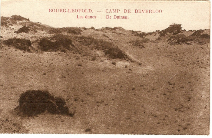 WW1 CAMP DE BEVERLO BELGIA DUNELE DE PE CAMPUL DE INSTRUCTIE