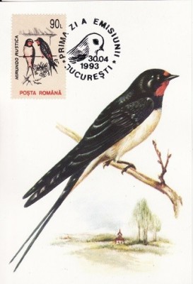 3988 - Romania 1993 - carte maxima foto
