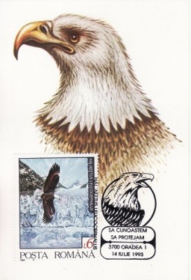 4018 - carte maxima - Romania 1993 foto