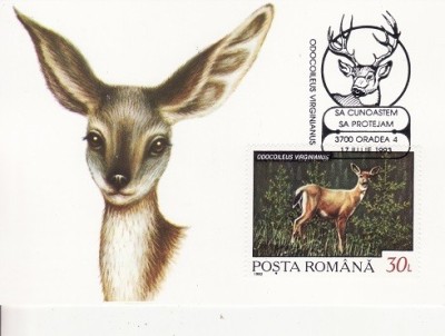 4023 - carte maxima - Romania 1993 foto