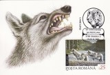 4022 - carte maxima - Romania 1993