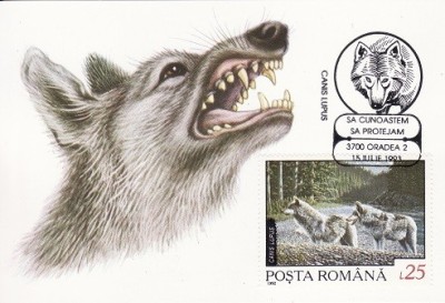 4022 - carte maxima - Romania 1993 foto