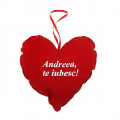 INIMA CU NUME &amp;quot;ANDREEA, TE IUBESC!&amp;quot; foto