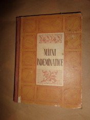 Maini indemanatice an 1955/338pagini/ cartonata foto