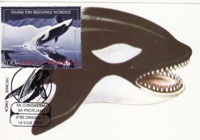 4025 - carte maxima - Romania 1993 foto