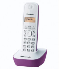 Panasonic Panasonic Telefon fara fir Panasonic KX-TG1611, Agenda cu 50 contacte (KX-TG1611FXR) foto