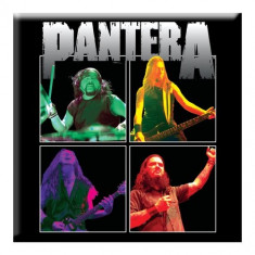 Magnet Pantera - Band Photo foto