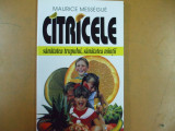 Citricele sanatatea trupului si mintii Maurice Messegue Bucuresti 1998 044