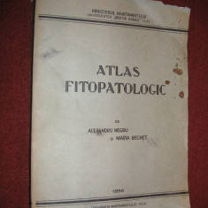 Atlas fitopatologic (litografiat) - Al. Negru, Maria Bechet