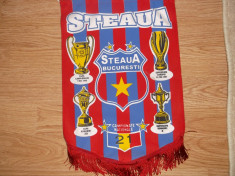 FANION STEAUA foto