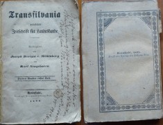 Benigni , Neugeboren , Transilvania , Kronstadt , Brasov , 1838 foto