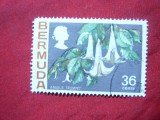 Timbru 36 C 1970 Flori- Bermuda , stampilat