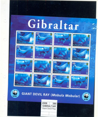 ST-164=GIBRALTAR 2006-WWF-Coala de 4 serii,Pesti foto