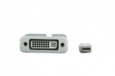 Adaptor DVI mama - Mini Display Port tata foto