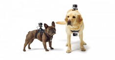 Ham pentru caini compatibil GoPro Fetch pentru GoPro Hero 2 Hero 3 Hero 3+ Hero 4 Hero 5 foto