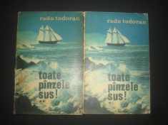 RADU TUDORAN - TOATE PINZELE SUS 2 volume foto