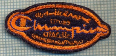 223 -EMBLEMA - INTERESANTA - BRODATA -starea care se vede foto