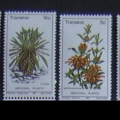 TRANSKEI 1981 - FLORA LOCALA 4 VALORI, NEOBLITERATE - AS 144A