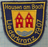 218 -EMBLEMA BLAZON OFICIAL -HAUSEN AM BACH - GERMANIA -starea care se vede