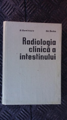 RADIOLOGIA CLINICA A INTESTINULUI -- D. DUMITRASCU , GH. BADEA foto