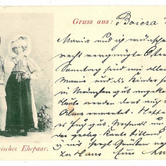 3364 - ETHNIC, Boita, Sibiu, Port Popular, Litho - old postcard - used - 1898