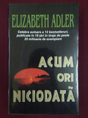 Elizabeth Adler - Acum ori niciodata - 474304 foto