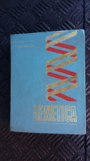 GENETICA - DRACEA foto