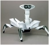 Robot Roboquad foto