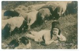 3362 - ETHNIC, Cioban, Sheperd, dog, sheeps - old postcard, real PHOTO - unused, Necirculata, Printata