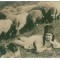 3362 - ETHNIC, Cioban, Sheperd, dog, sheeps - old postcard, real PHOTO - unused