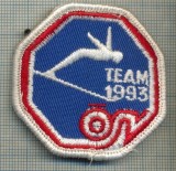 277 -EMBLEMA SPORTURI DE IARNA - SKI(SCHI) -TEAM 1993 -starea care se vede