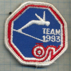 277 -EMBLEMA SPORTURI DE IARNA - SKI(SCHI) -TEAM 1993 -starea care se vede