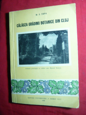 E.Topa - Calauza Gradinii Botanice din Cluj -Ed.Universitatii 1956 foto