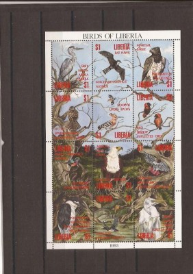Liberia - pasari - 1582/93 klbg foto