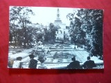 Ilustrata Arad - Vedere din Parc ,circulat 1962, Circulata, Fotografie