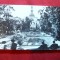 Ilustrata Arad - Vedere din Parc ,circulat 1962