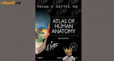 Atlas Netter ed.6 - Atlas of Human Anatomy F.H.Netter 6th ed foto