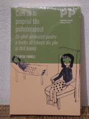 CUM SA FII PROPRIUL TAU PSIHOTERAPEUT-Patricia Farrell foto